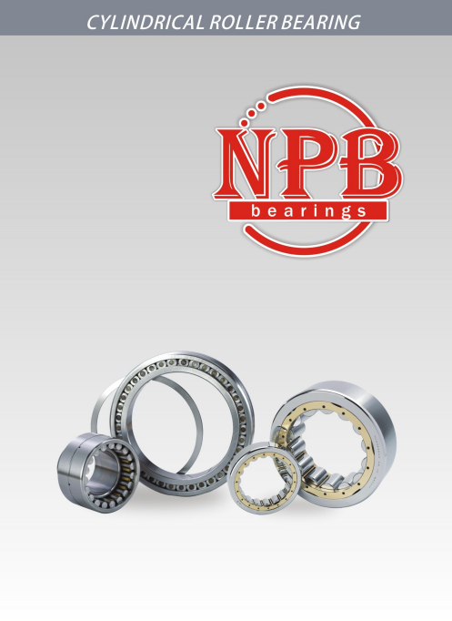 NPB Cylindrical Roller Bearing