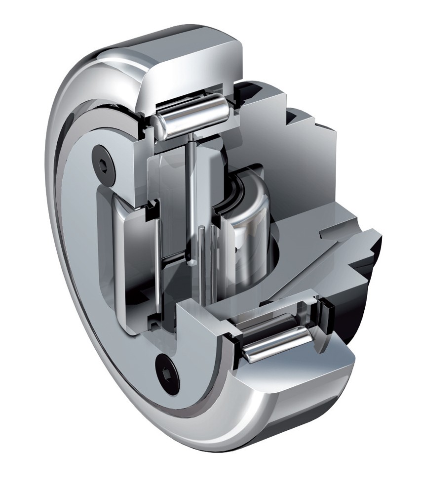 COMBINED BEARINGS AND CHAIN GUIDE BEARINGS